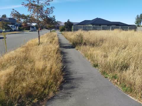 Roading/Streets, a report photo