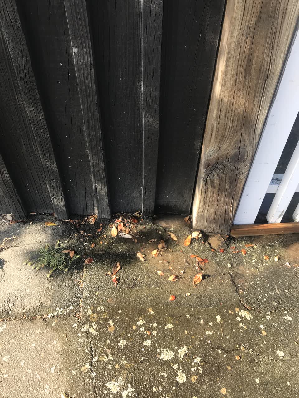The photograph attached to this water leak report