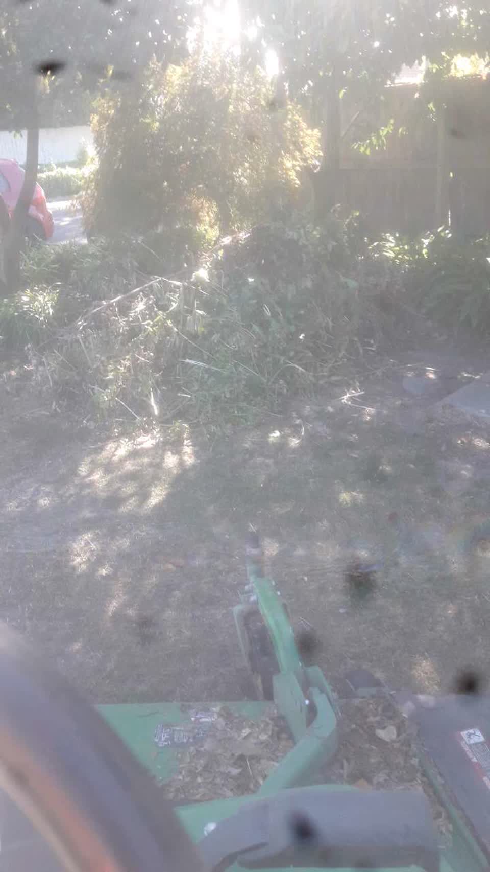 The photograph attached to this parks report