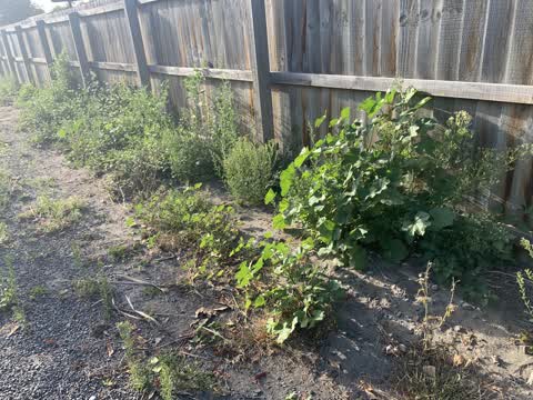 Parks, a report photo