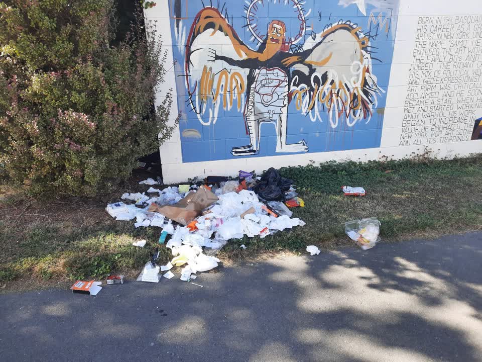 The photograph attached to this rubbish/recycling report