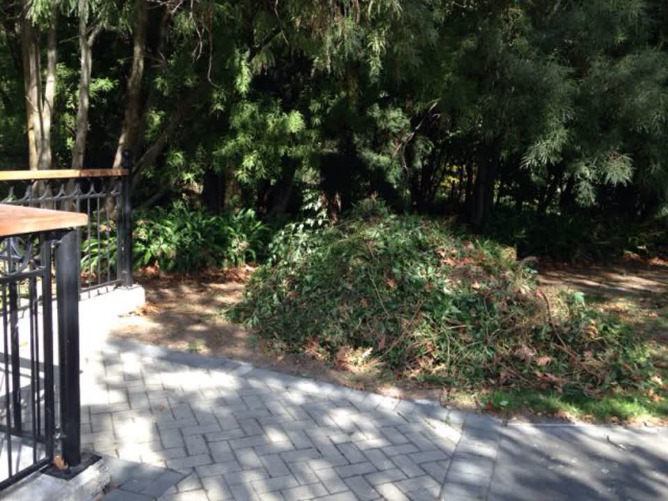 The photograph attached to this parks report