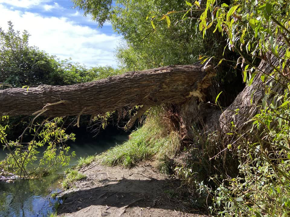The photograph attached to this parks report