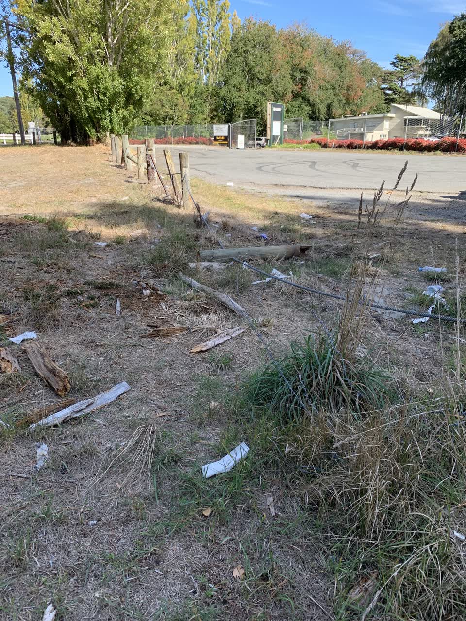 The photograph attached to this parks report