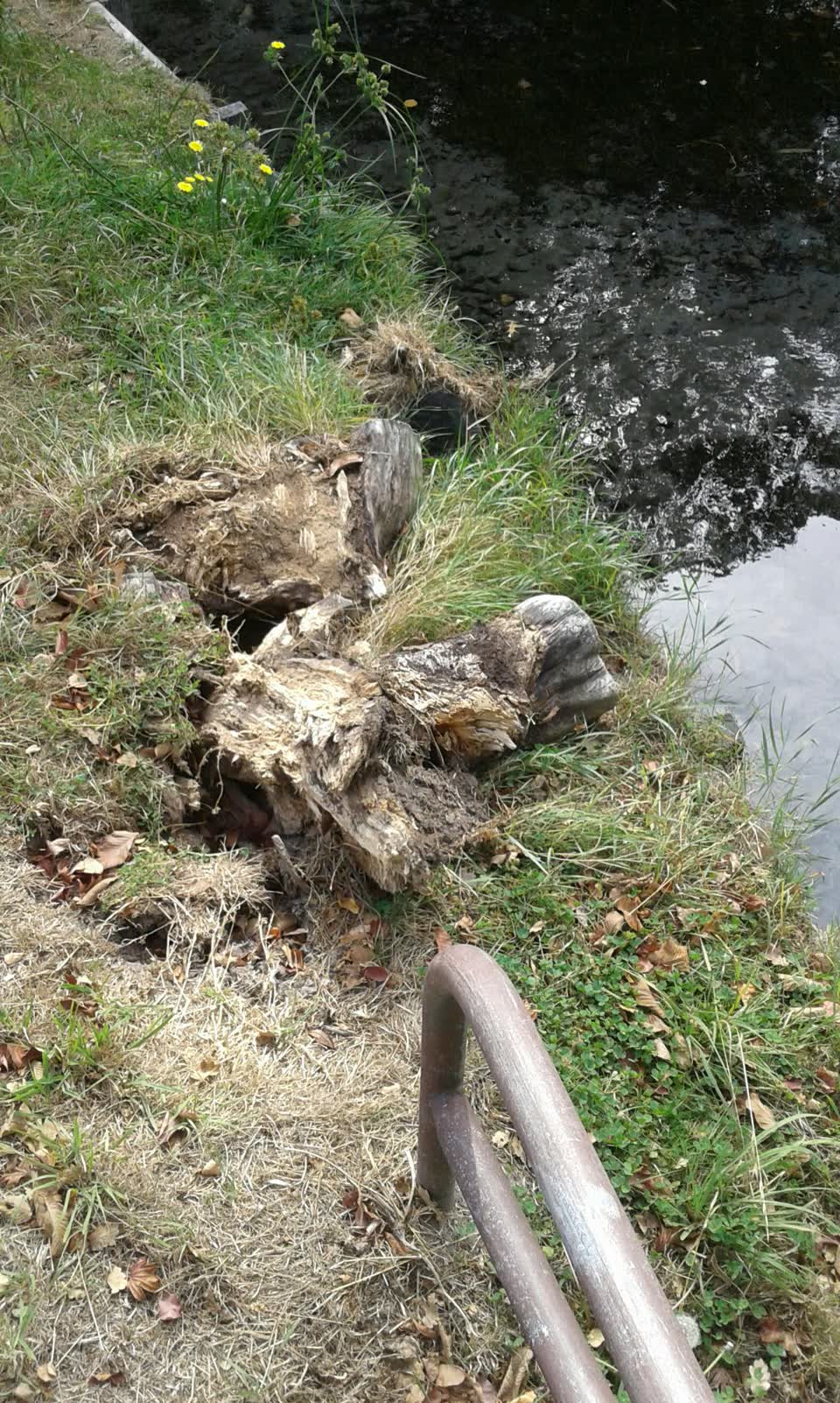The photograph attached to this parks report