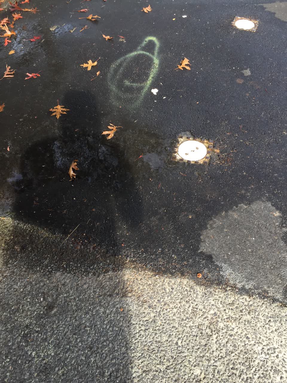 The photograph attached to this water leak report