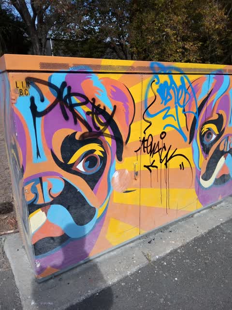 Graffiti, a report photo