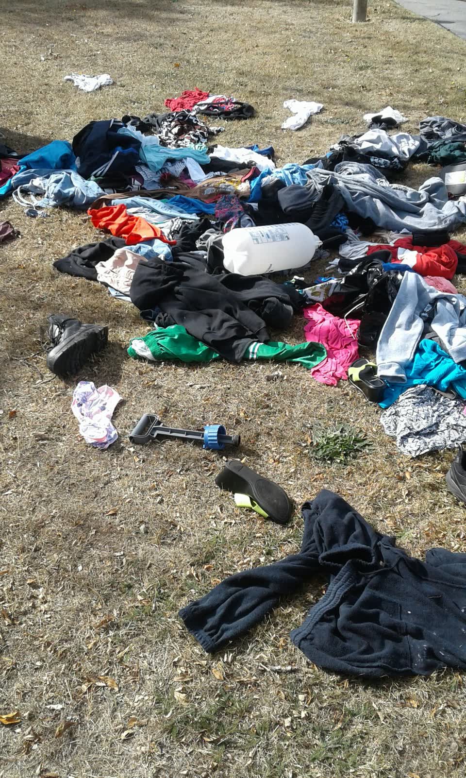 The photograph attached to this parks report