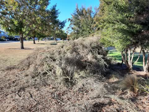 Parks, a report photo
