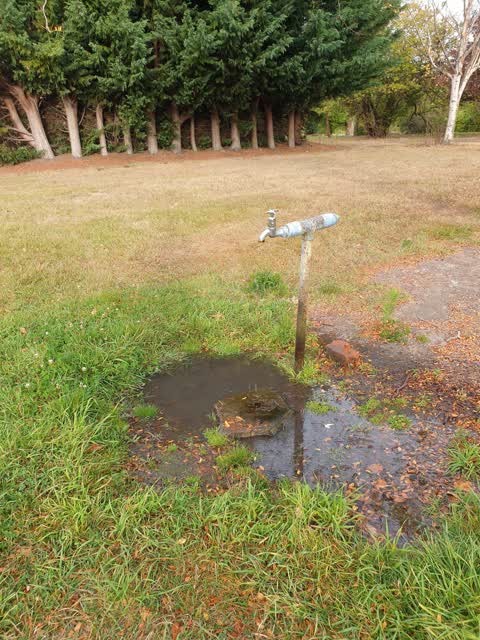 Water Leak, a report photo