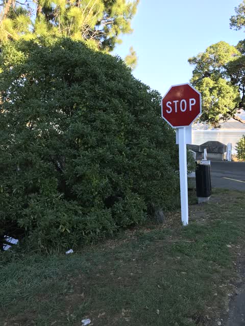 Roading/Streets, a report photo