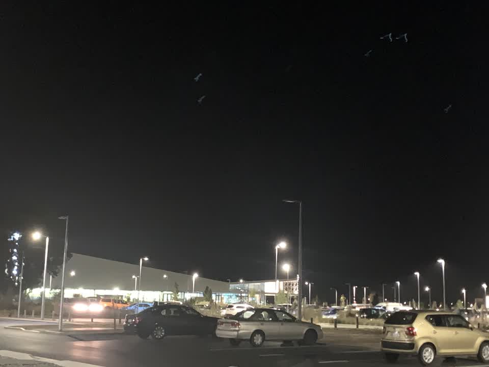 The photograph attached to this street light outage report