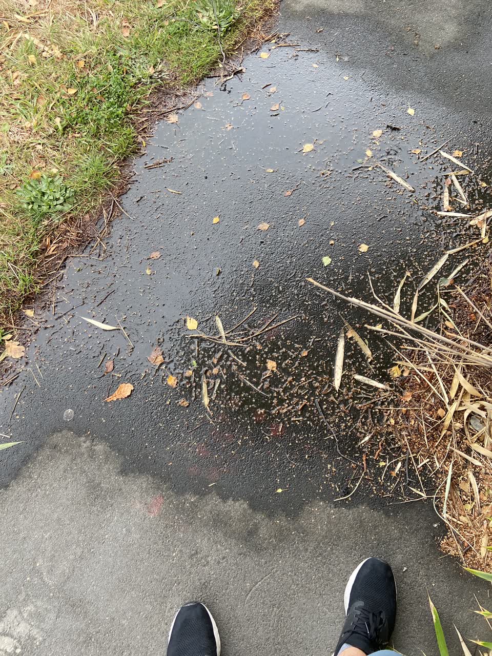 The photograph attached to this water leak report