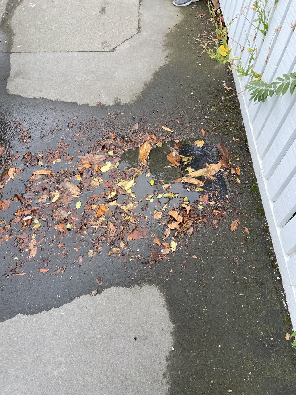 The photograph attached to this water leak report