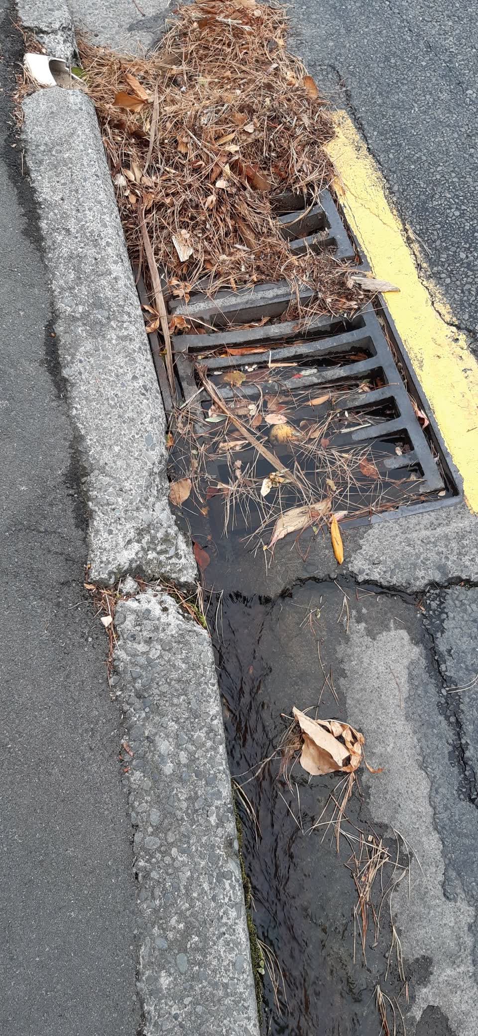 The photograph attached to this wastewater/stormwater report