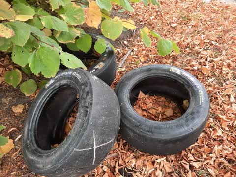 Rubbish/Recycling — a report photo