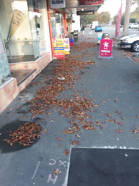 Roading/Streets, a report photo