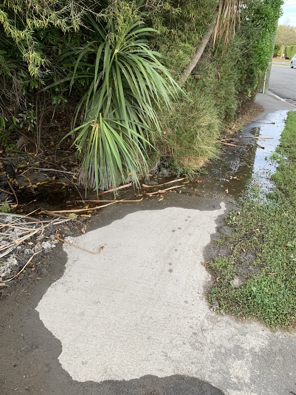 The photograph attached to this flooding report