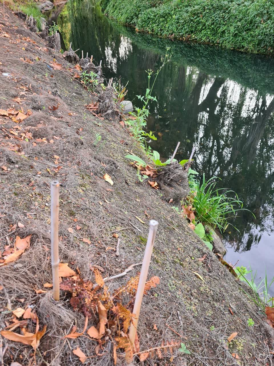 The photograph attached to this parks report