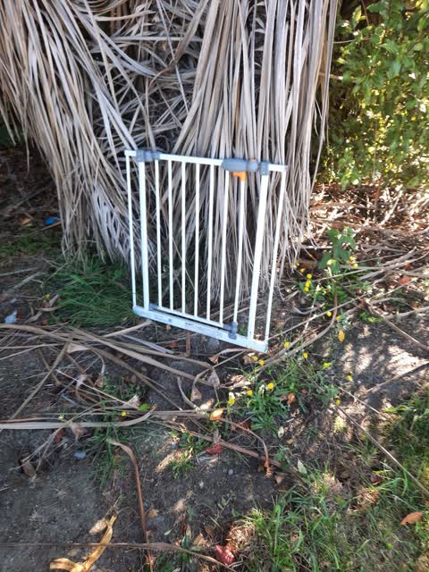 Rubbish/Recycling, a report photo
