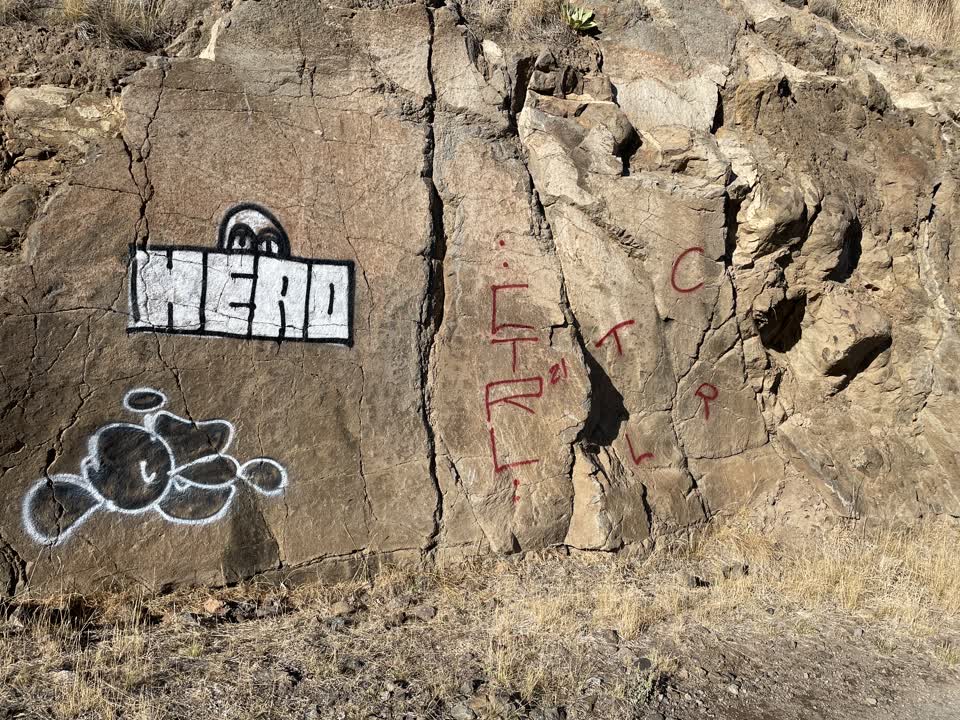 The photograph attached to this graffiti report