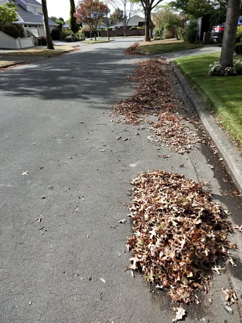Roading/Streets, a report photo