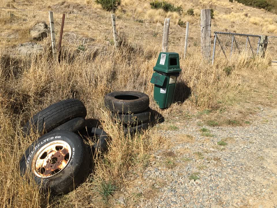 The photograph attached to this parks report