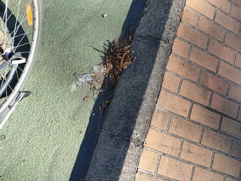 Rubbish/Recycling, a report photo