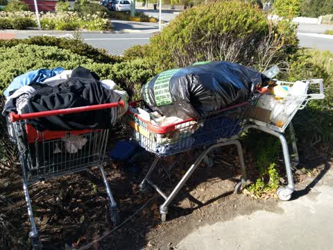 Rubbish/Recycling — a report photo