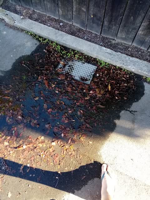 Water Leak, a report photo
