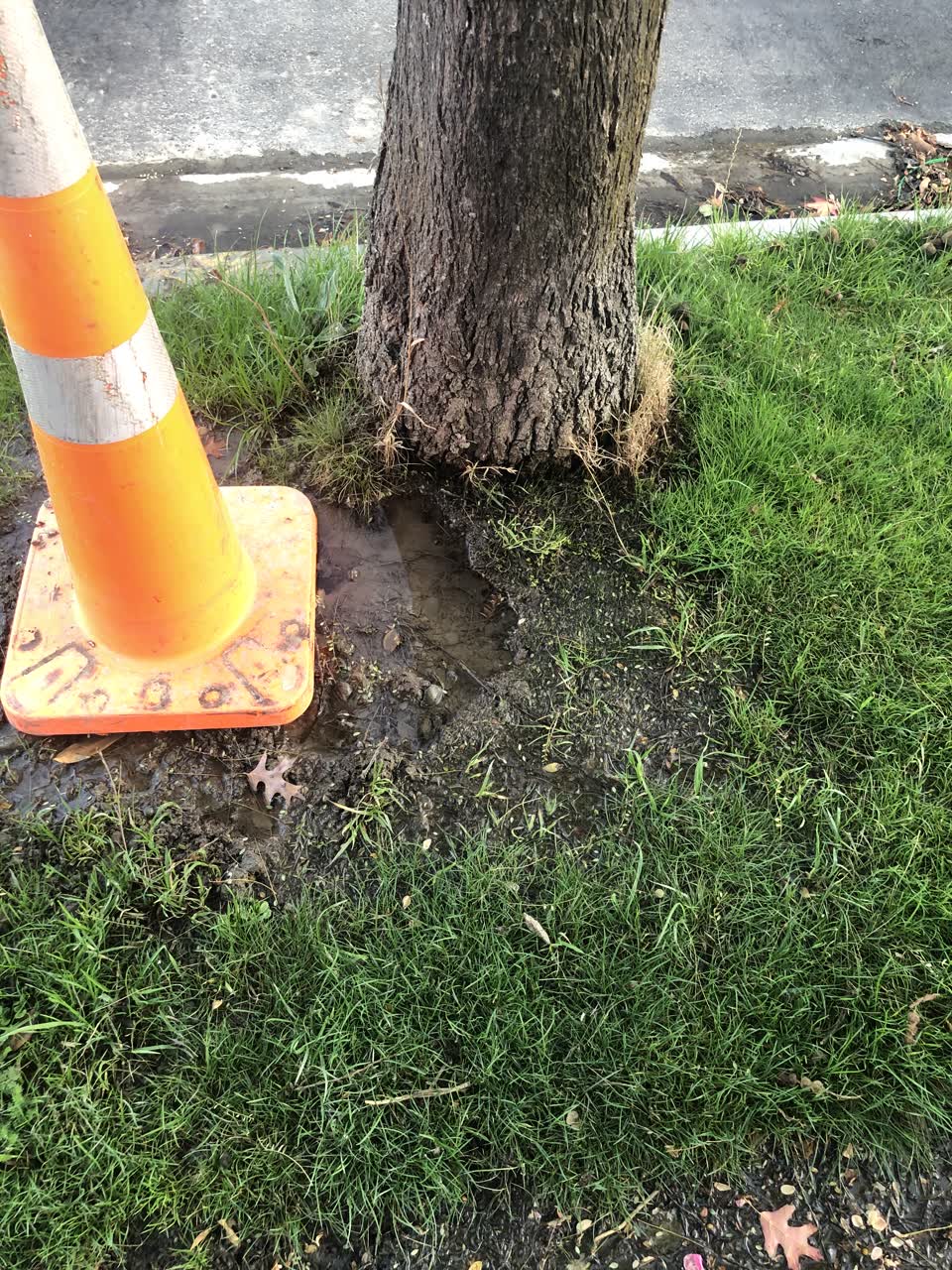 The photograph attached to this water leak report