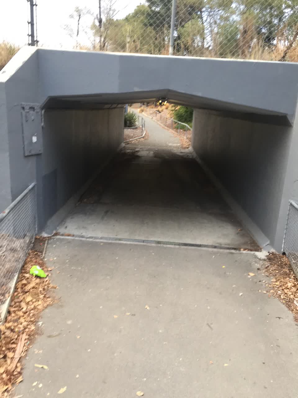The photograph attached to this parks report