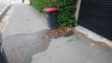 Water Leak, a report photo