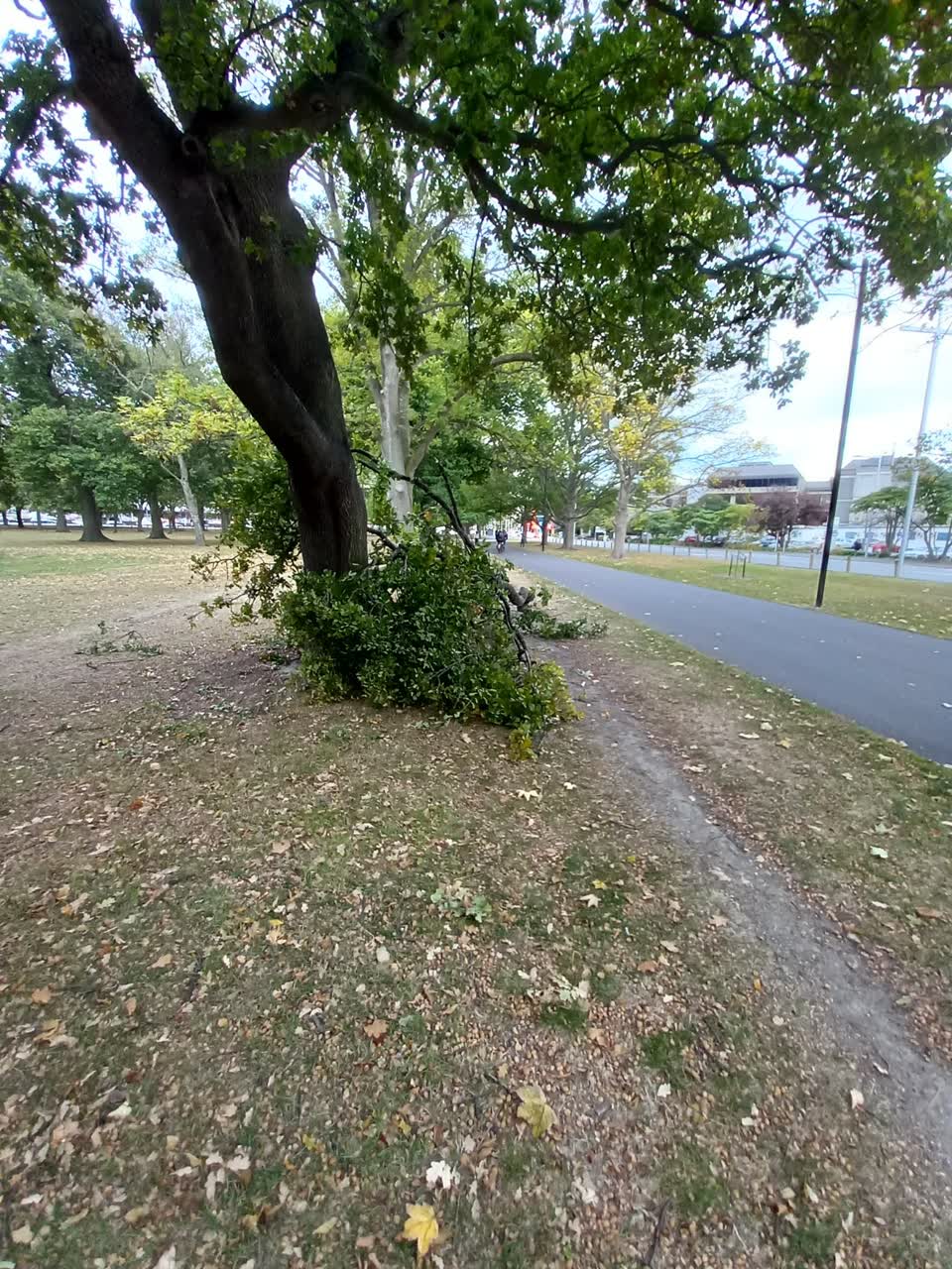 The photograph attached to this parks report