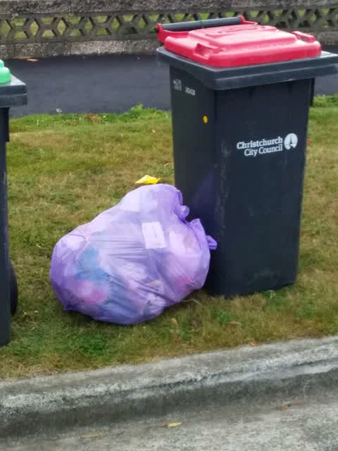 Rubbish/Recycling, a report photo