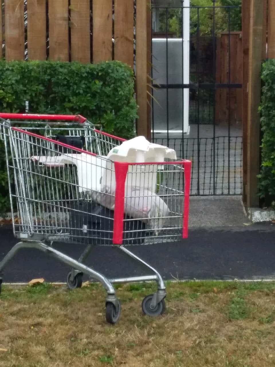 The photograph attached to this rubbish/recycling report