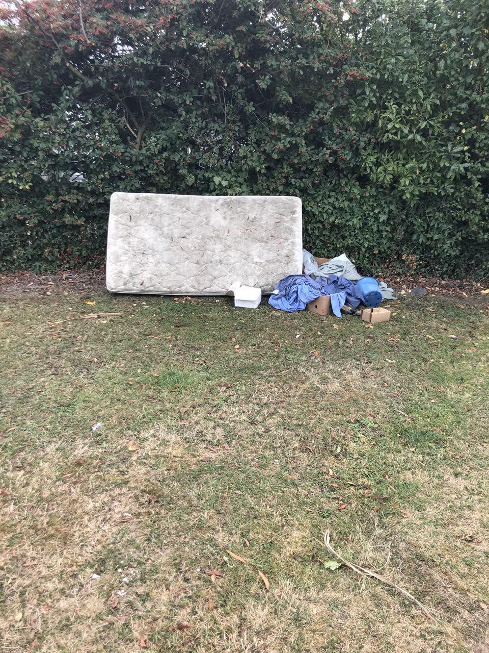 The photograph attached to this rubbish/recycling report