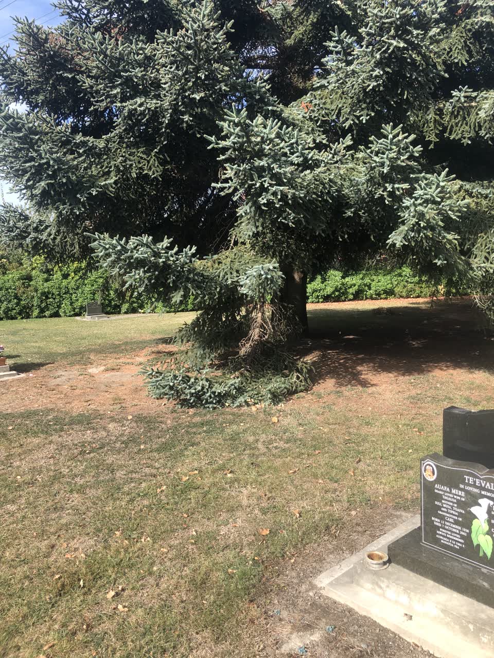 The photograph attached to this parks report