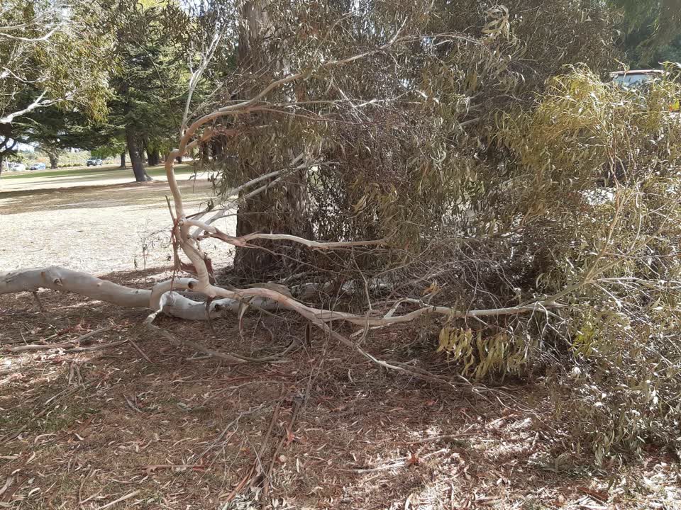The photograph attached to this parks report