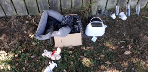 Rubbish/Recycling, a report photo