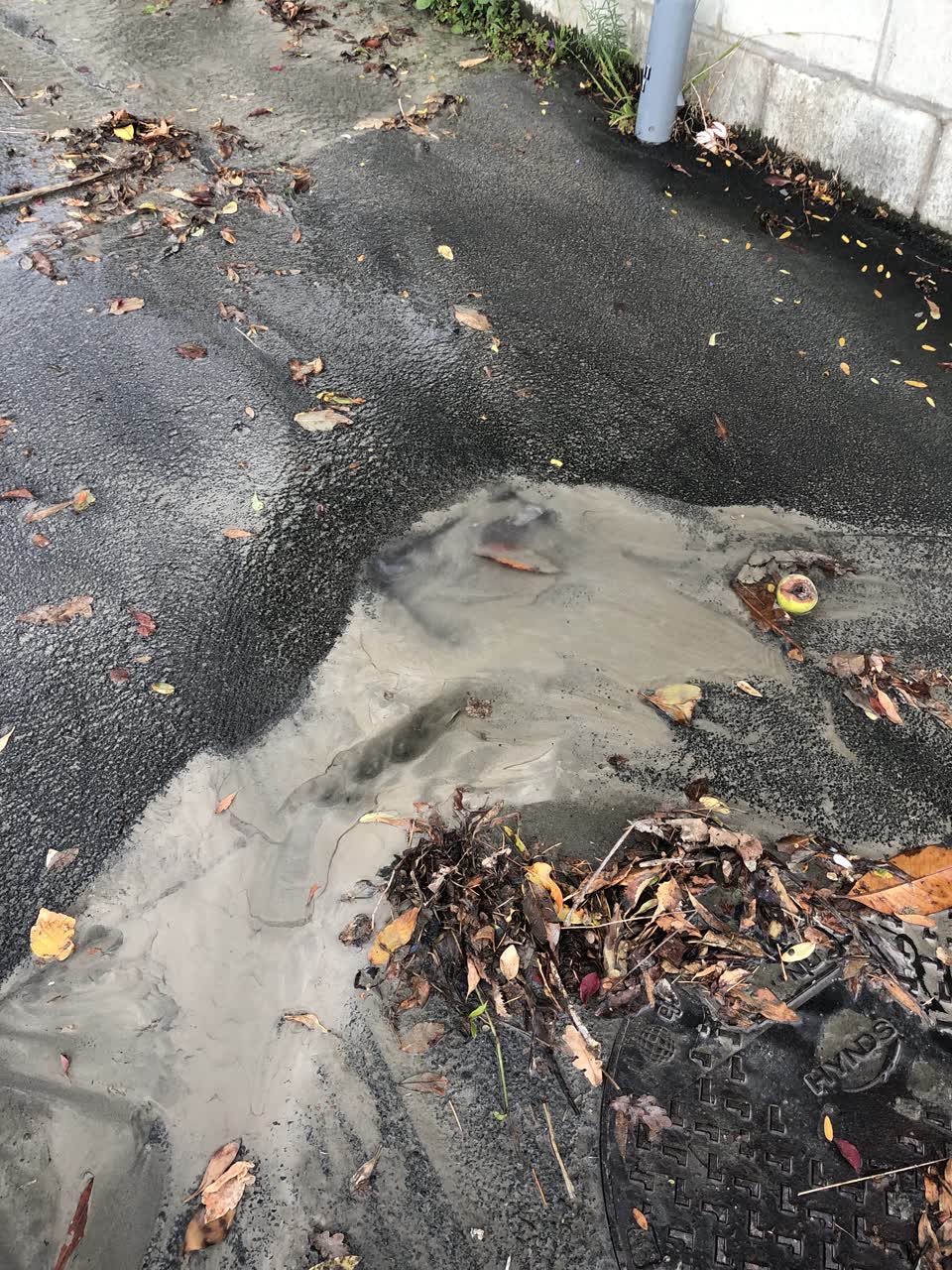 The photograph attached to this water leak report