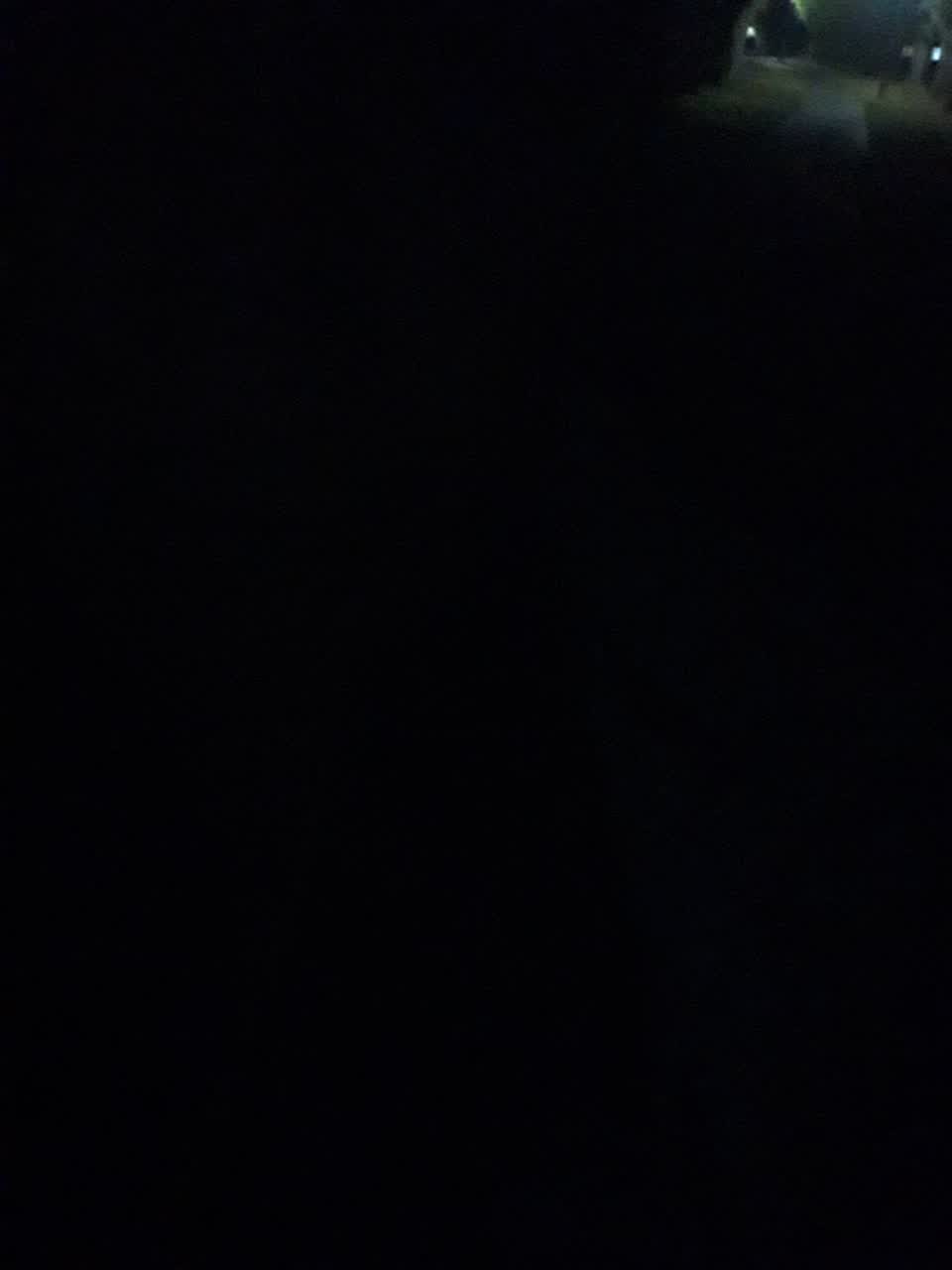 The photograph attached to this street light outage report
