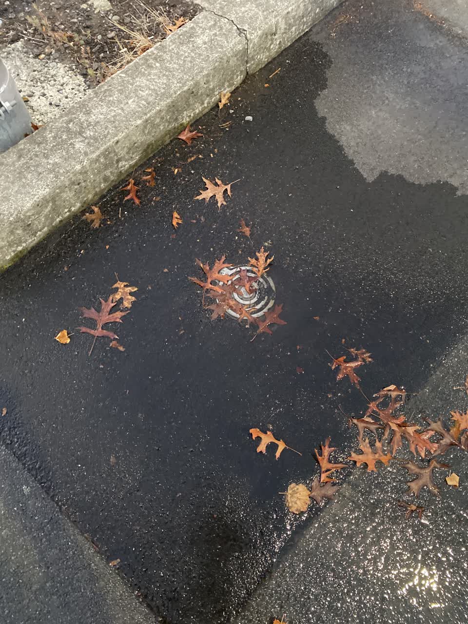 The photograph attached to this water supply report
