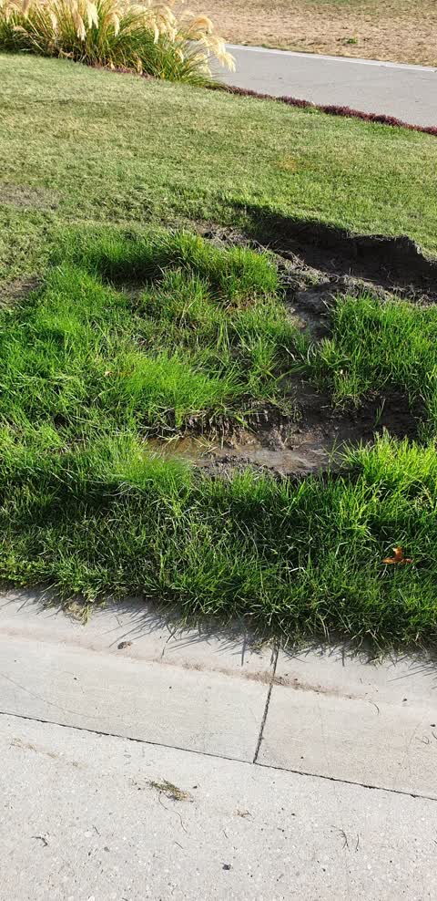 Water Leak, a report photo