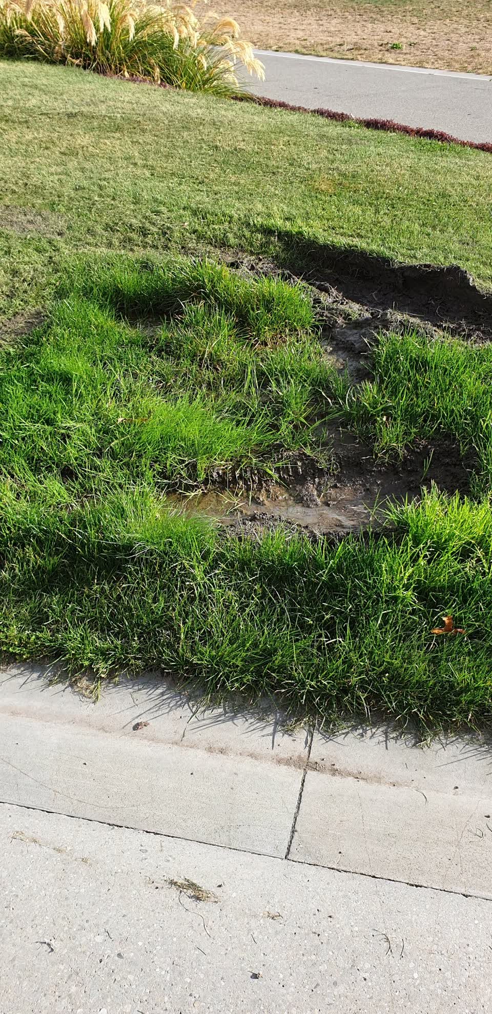 The photograph attached to this water leak report
