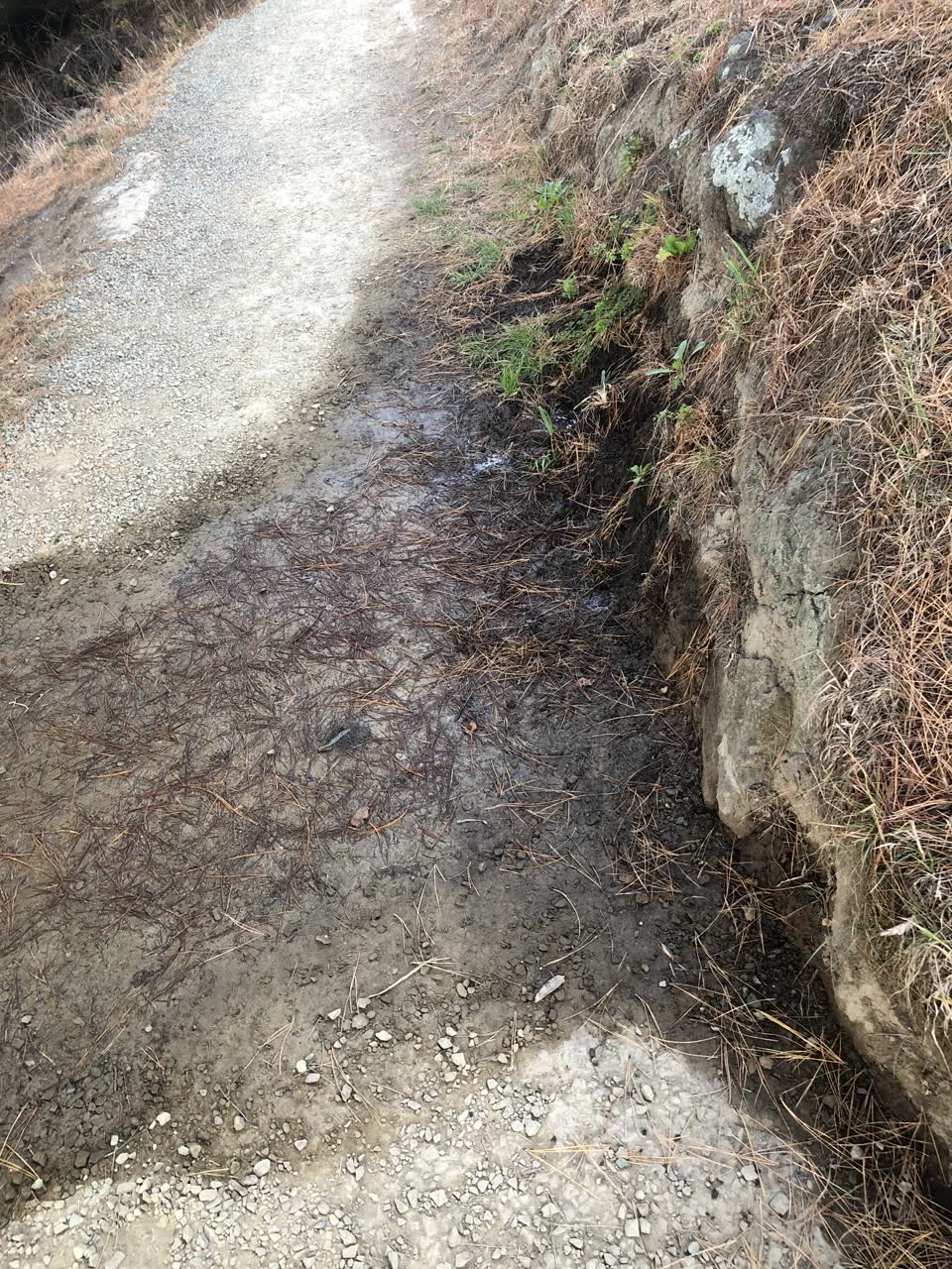 The photograph attached to this water leak report