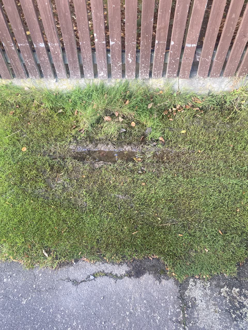 The photograph attached to this water leak report