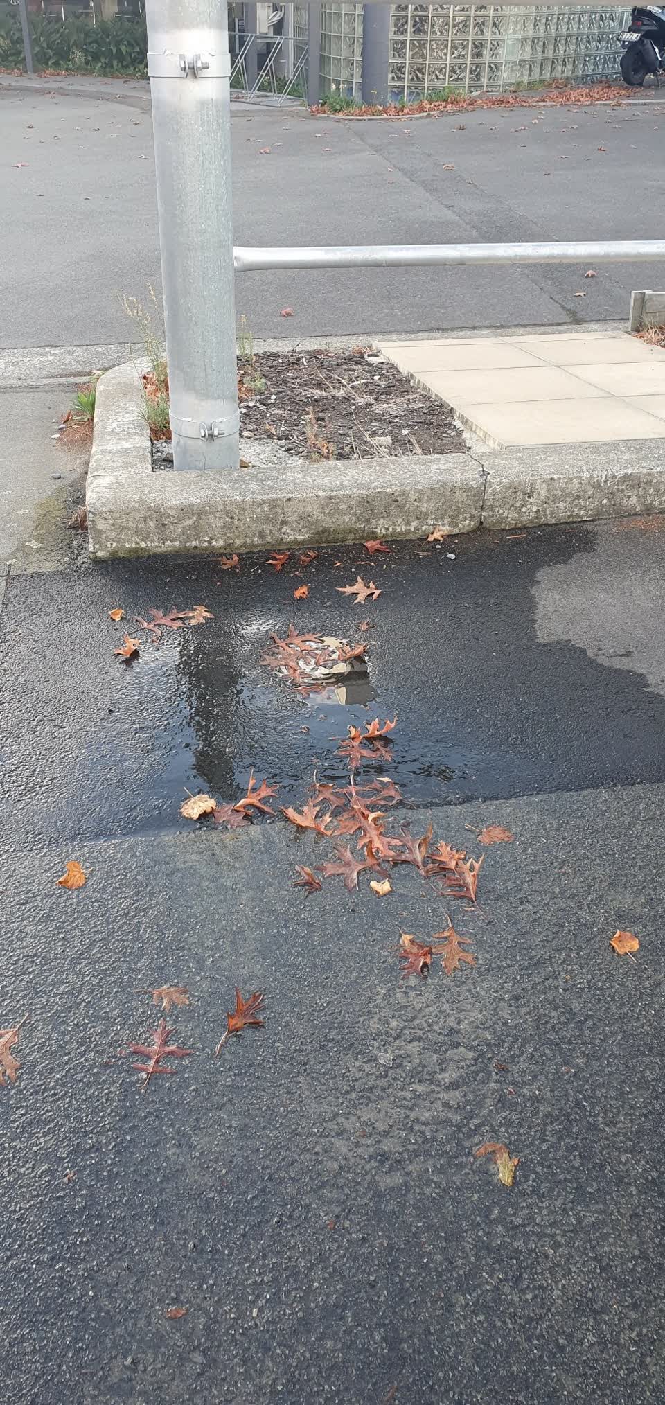 The photograph attached to this water leak report