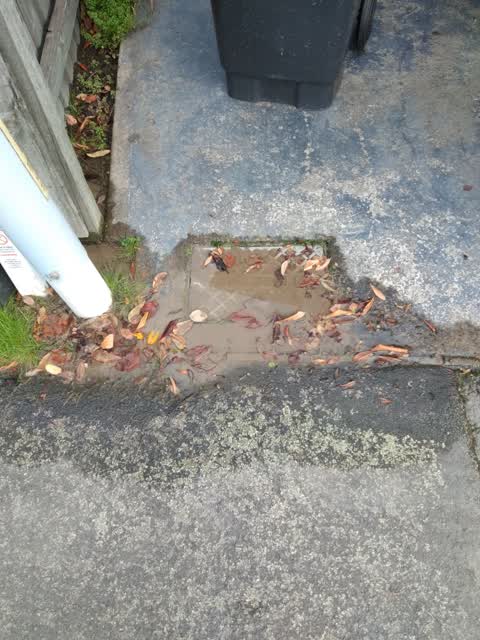 Water Leak, a report photo