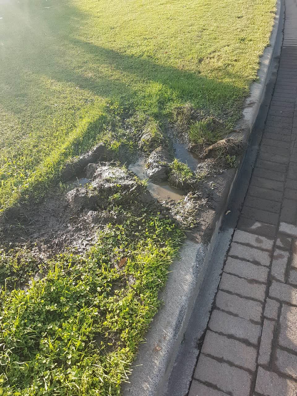 The photograph attached to this parks report